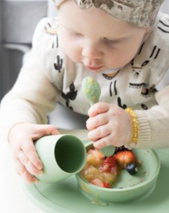 First Foods Set - Sage Feeding Ezpz