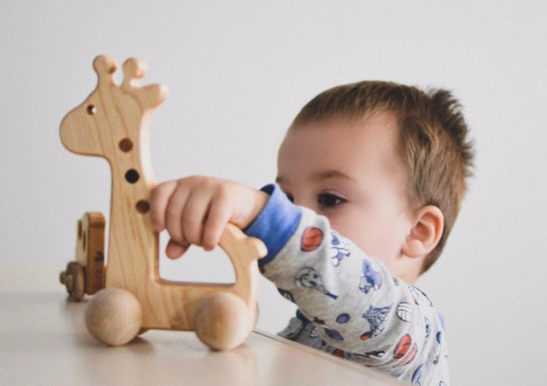 Giraffe Push Toy Wooden Toy Bannor Toys