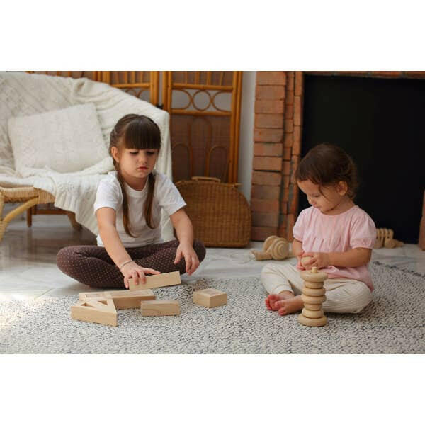Plan Toys Hollow Blocks Kids Toys PlanToys