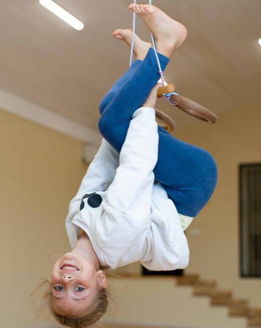 Trapeze swing bar with rings Single Swing Goodevas