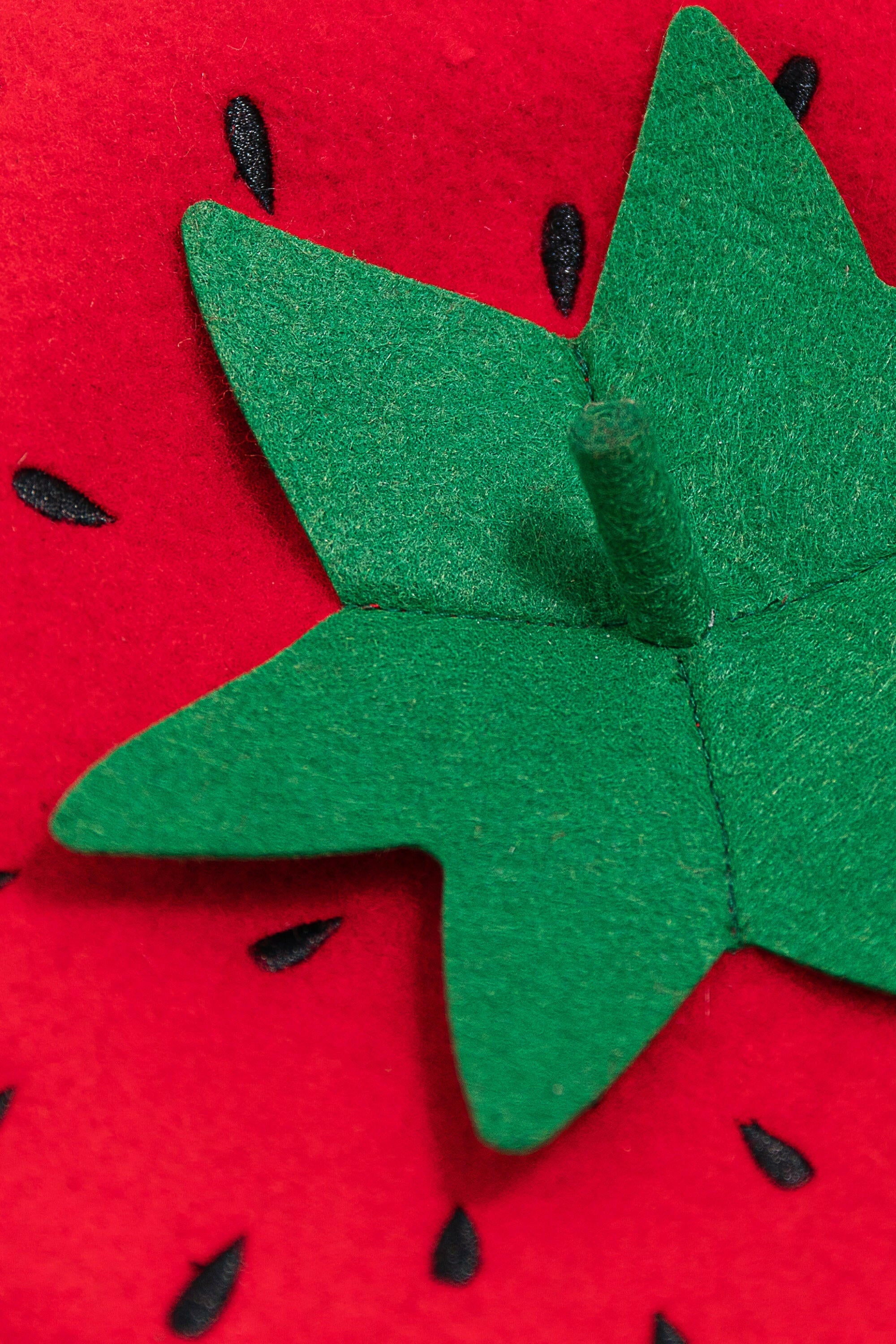 Bridgette Strawberry Beret  iloveplum