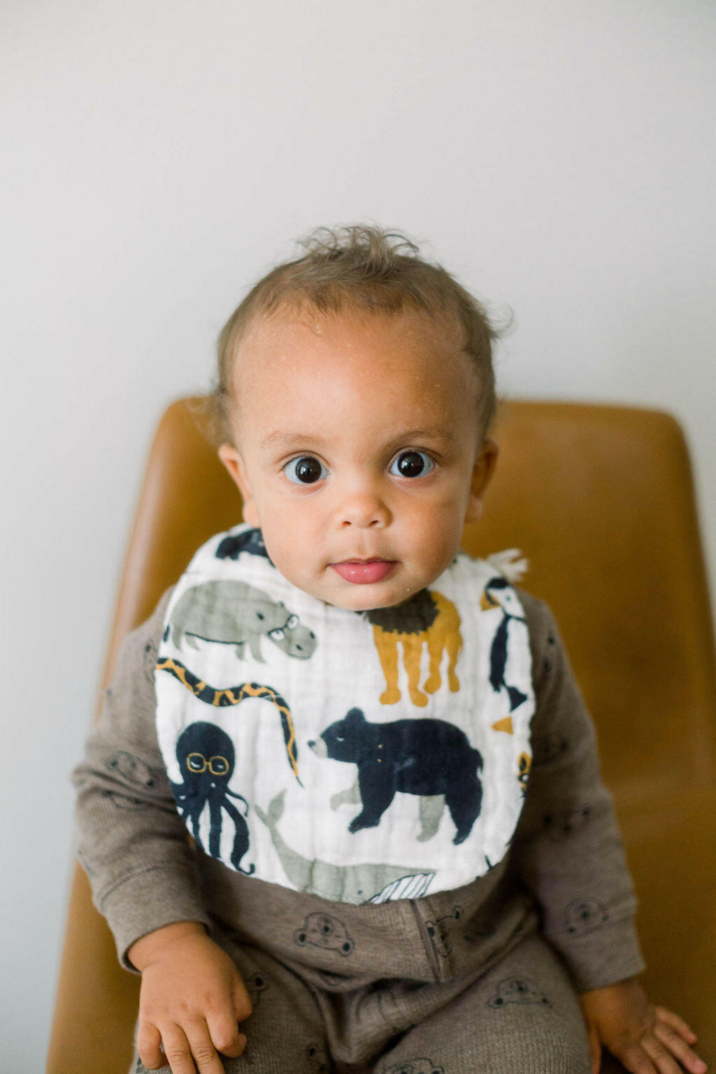 Zoology and Specs Bib Pack Bib Clementine Kids