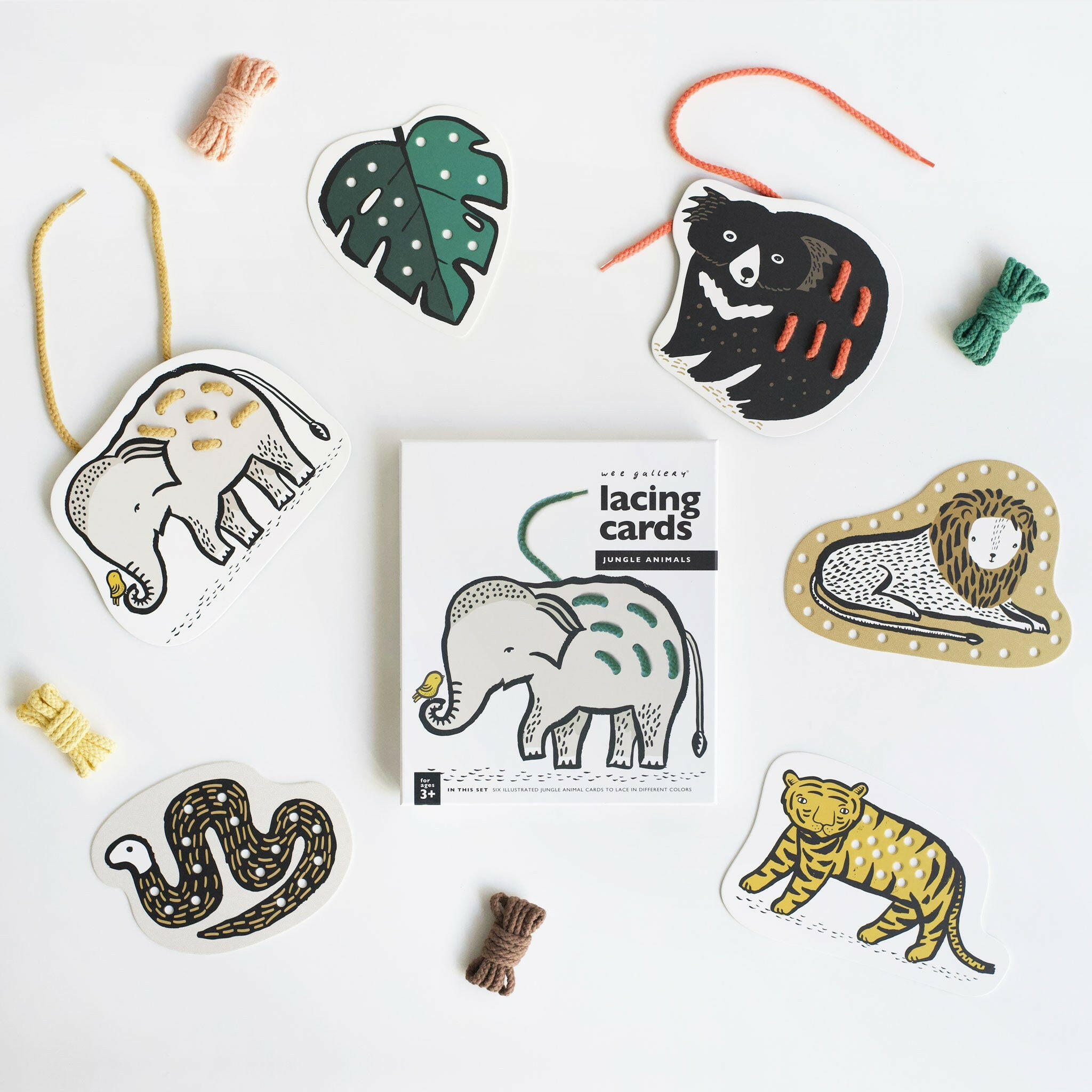 Wild Adventure Bundle Gift Sets Wee Gallery