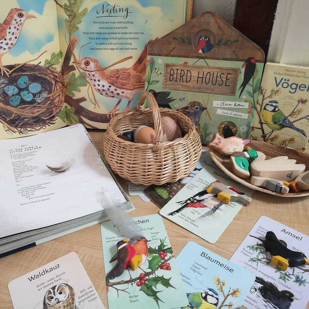 A Dozen Bird Eggs in a Box Educational Toys Moon Picnic