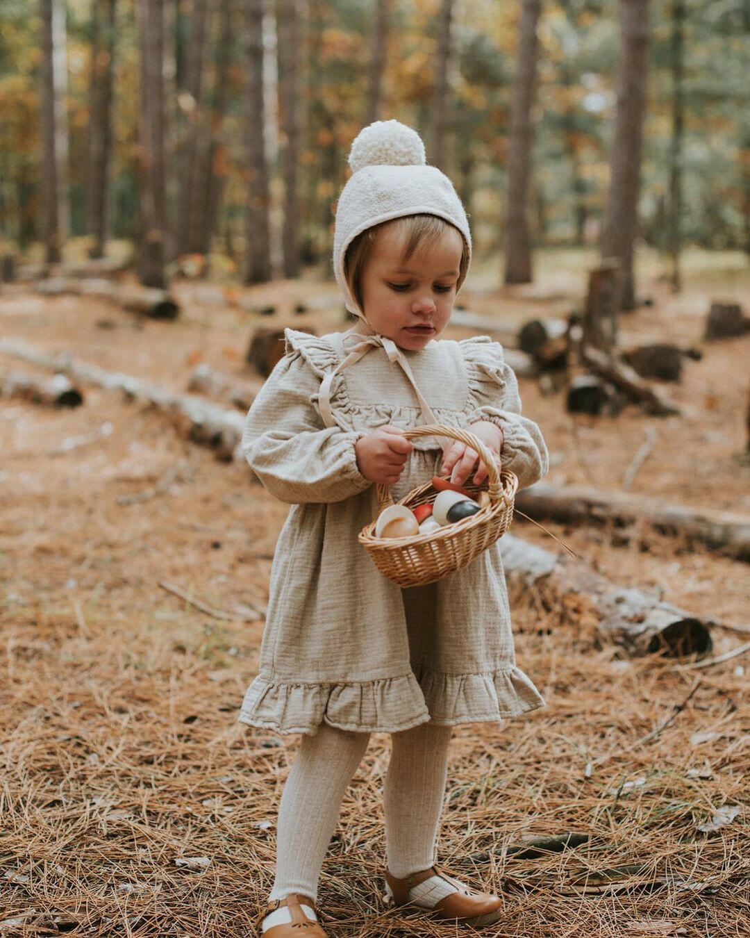 A Dozen Bird Eggs in a Box Educational Toys Moon Picnic