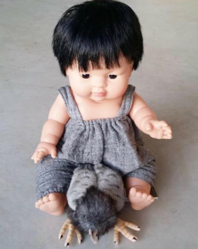 MiniKane Jude Asian Boy Doll Dolls Minikane