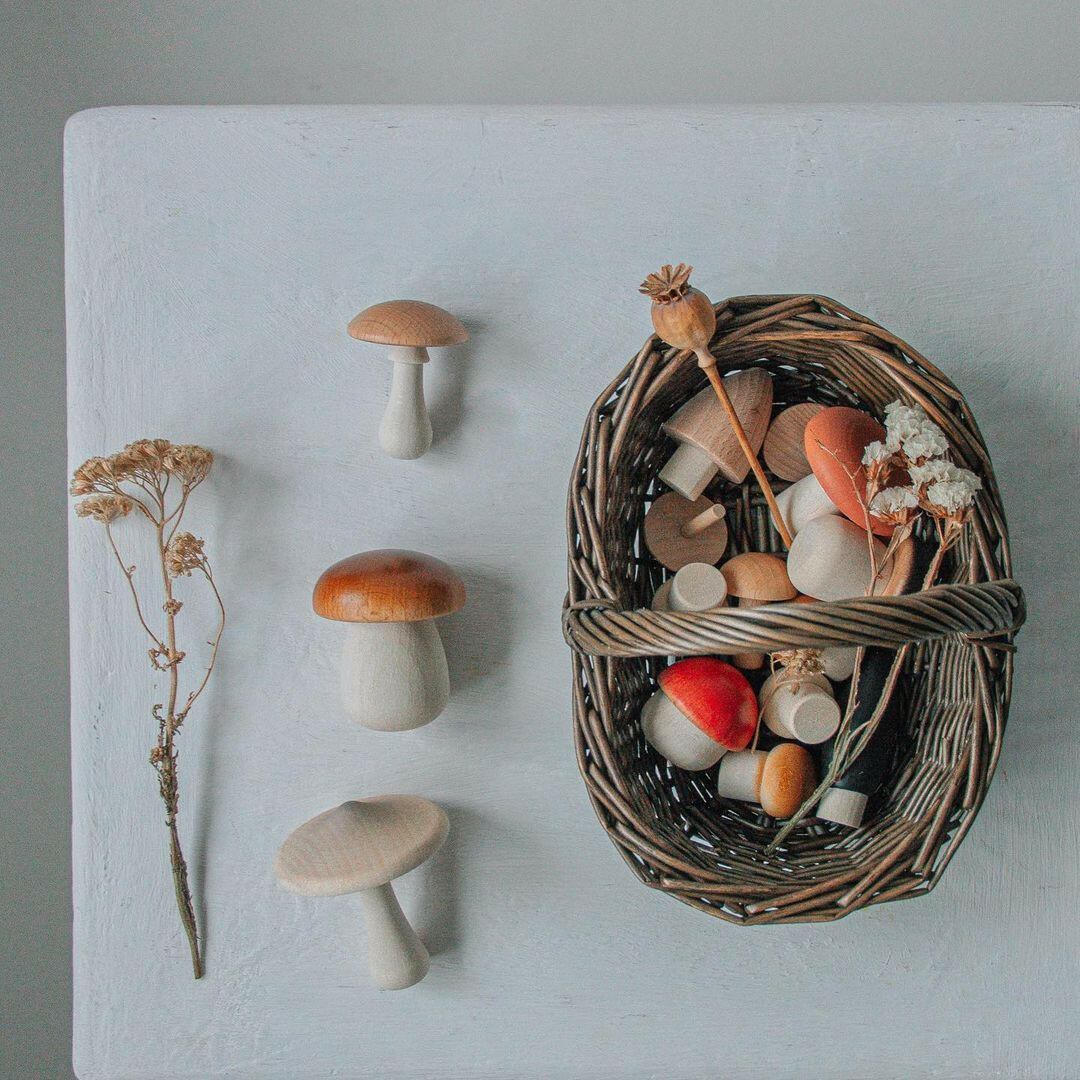 Forest Mushrooms in a Box Educational Toys Moon Picnic