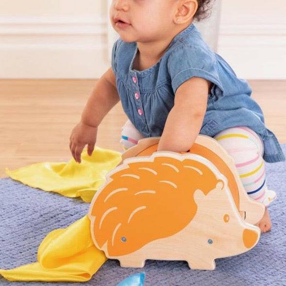 Hide and Play Hedgehog Tissue Box Kids Toys Guidecraft