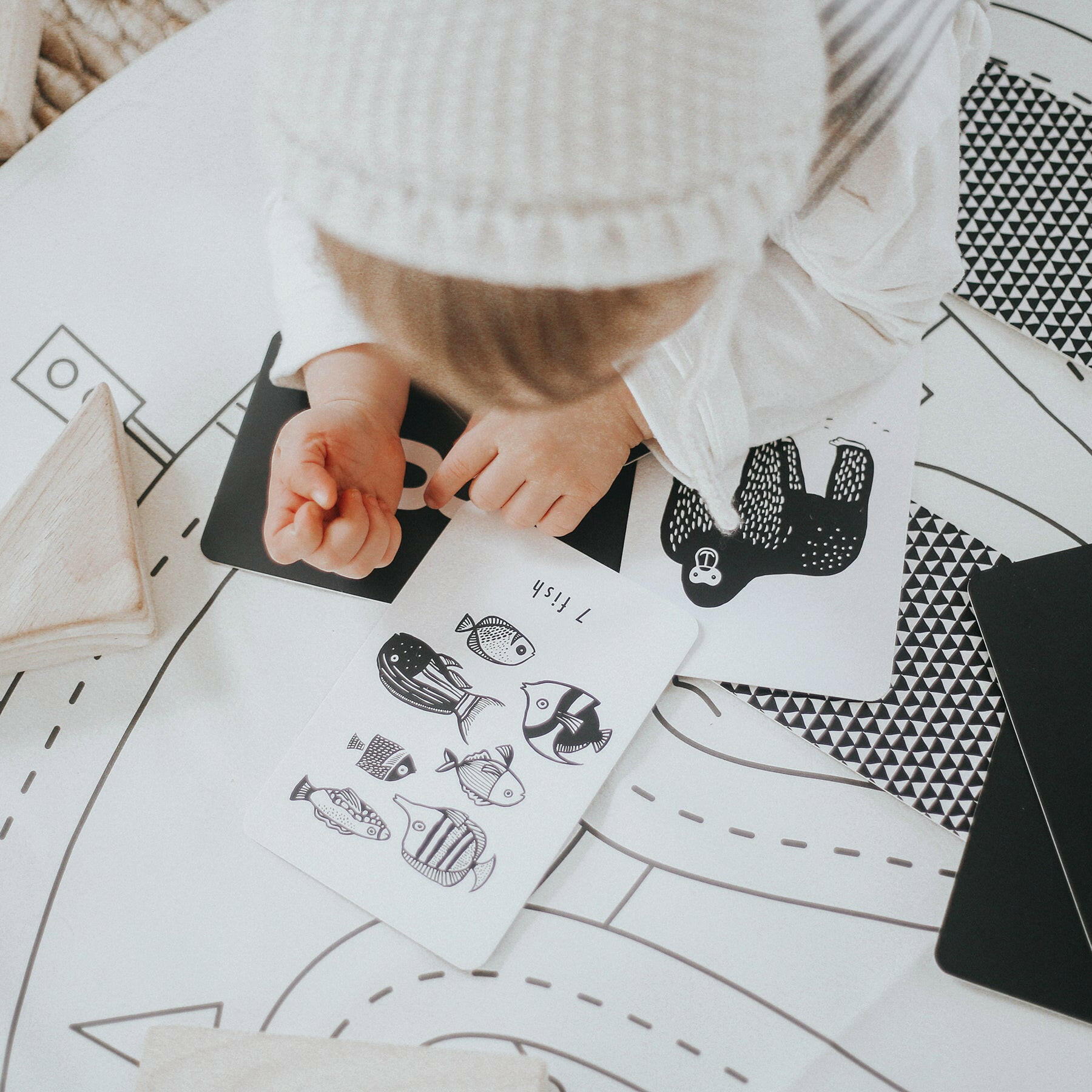 Counting Adventure Bundle Gift Sets Wee Gallery