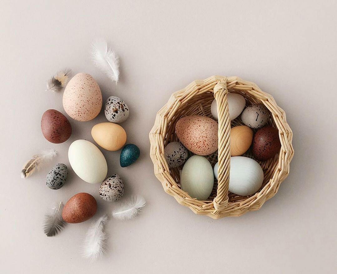 A Dozen Bird Eggs in a Box Educational Toys Moon Picnic