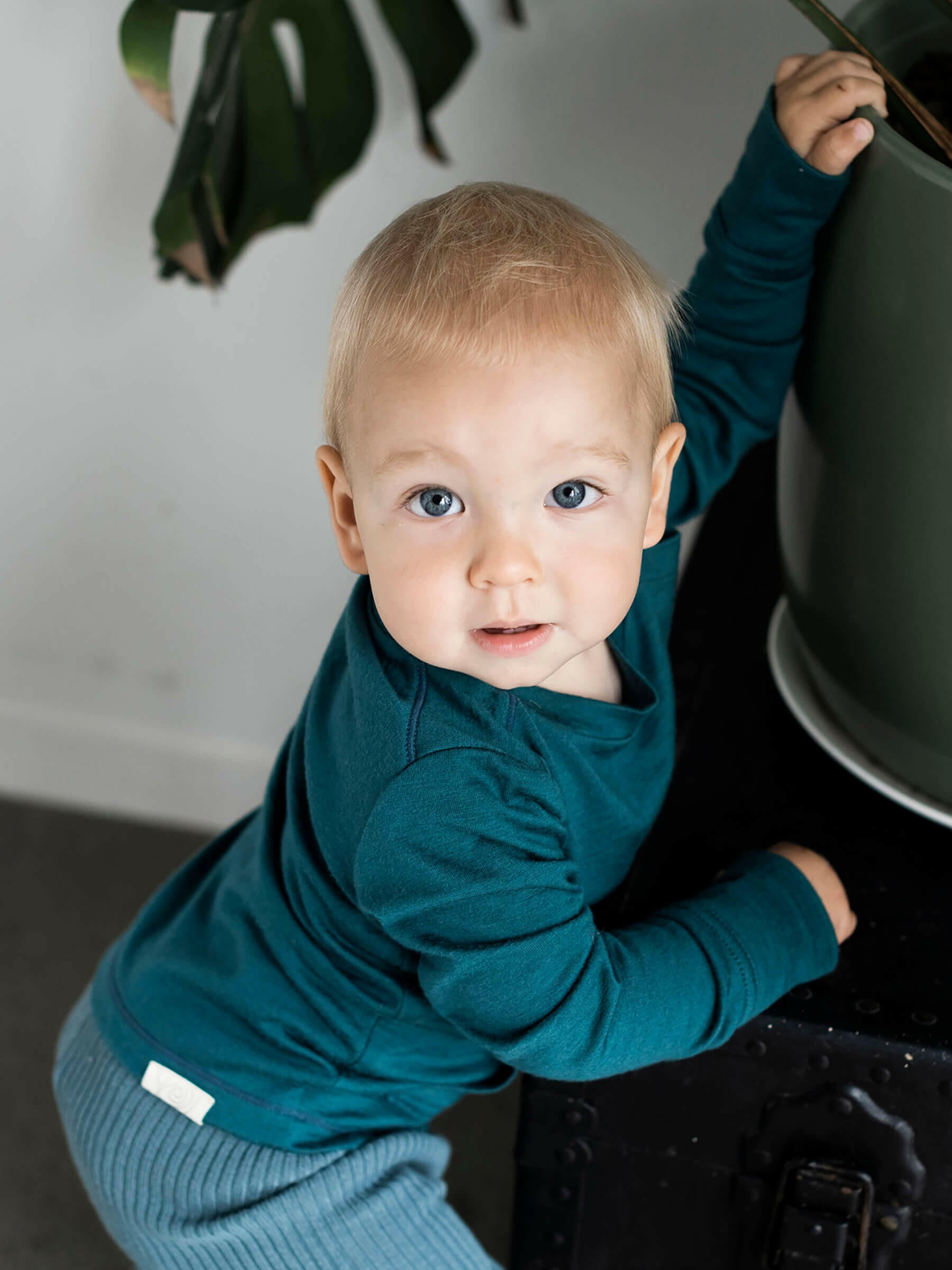 Baby Tihoi Merino Crew Deep Sea baby tops Nui Organics