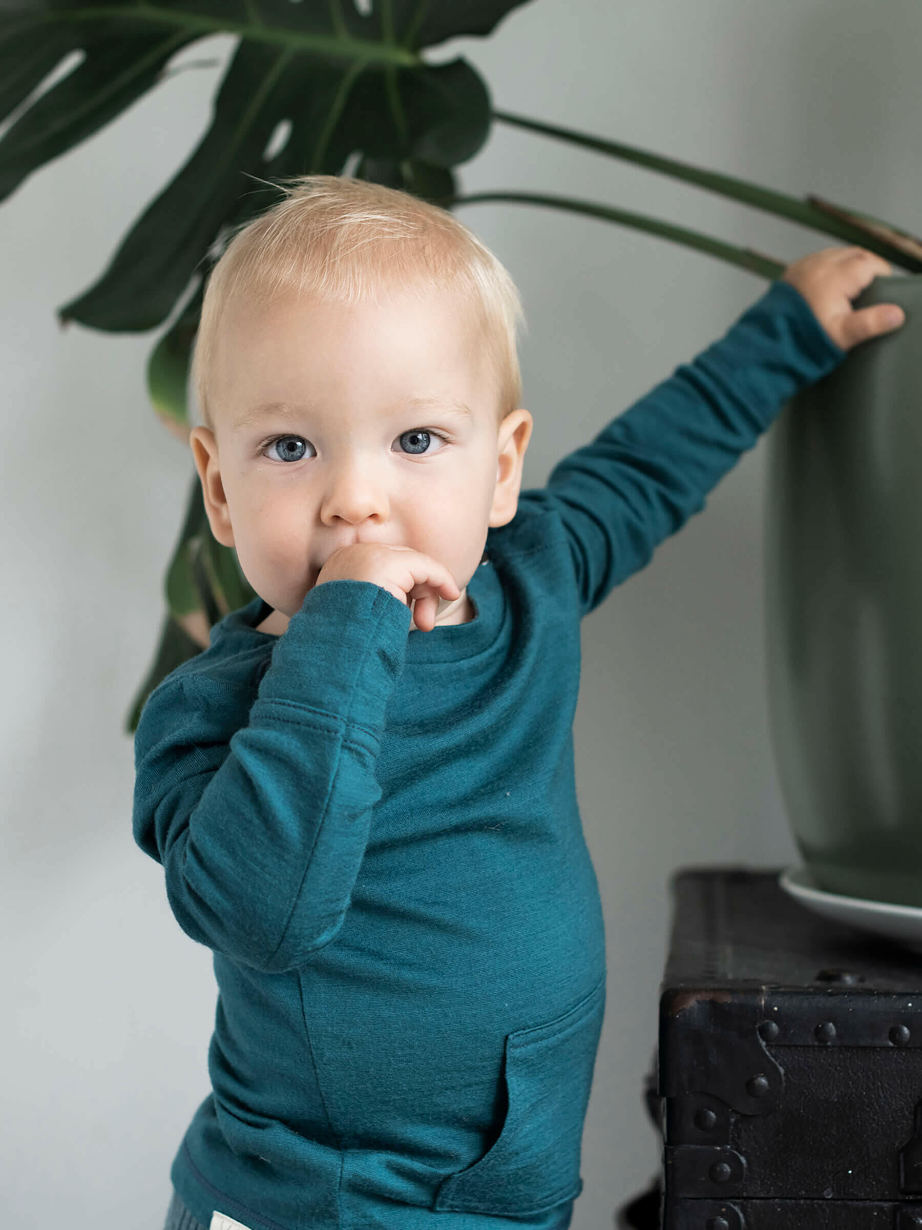 Baby Tihoi Merino Crew Deep Sea baby tops Nui Organics