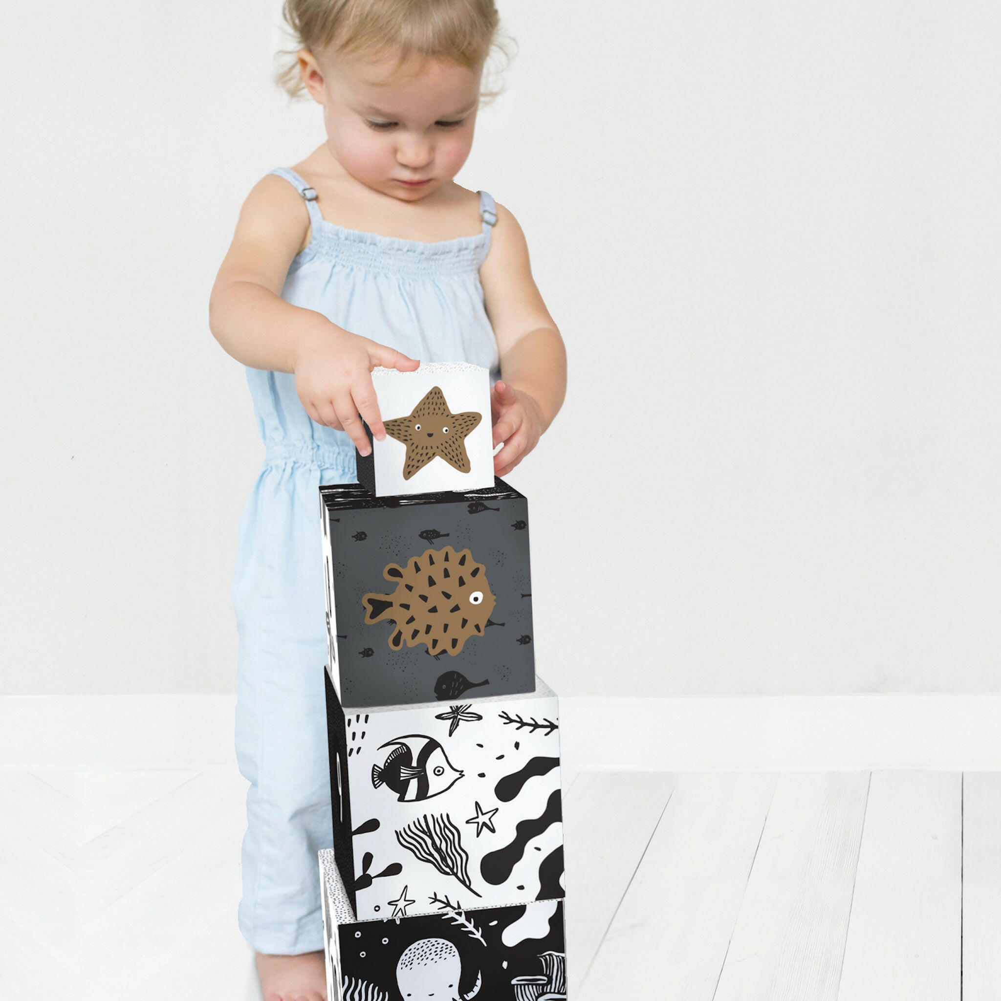 Ocean Explorer Bundle Gift Sets Wee Gallery
