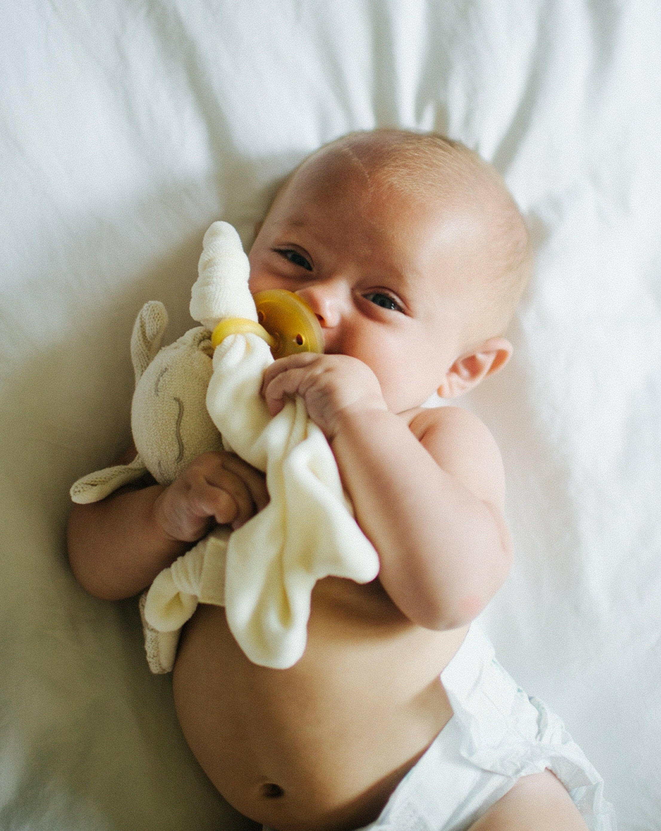 PaciPixy® Comforter Feeding Natursutten®