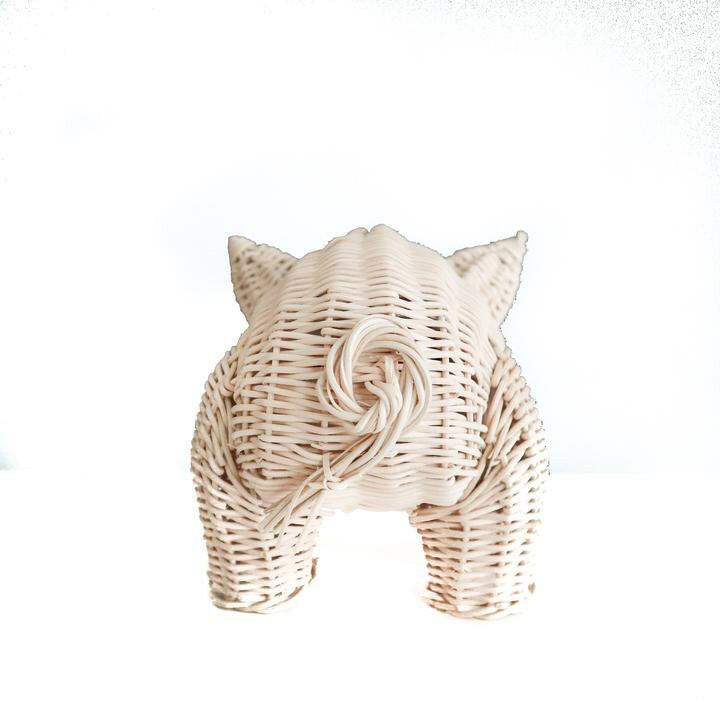 Rattan Piggy Bank Educational Toys Coconeh