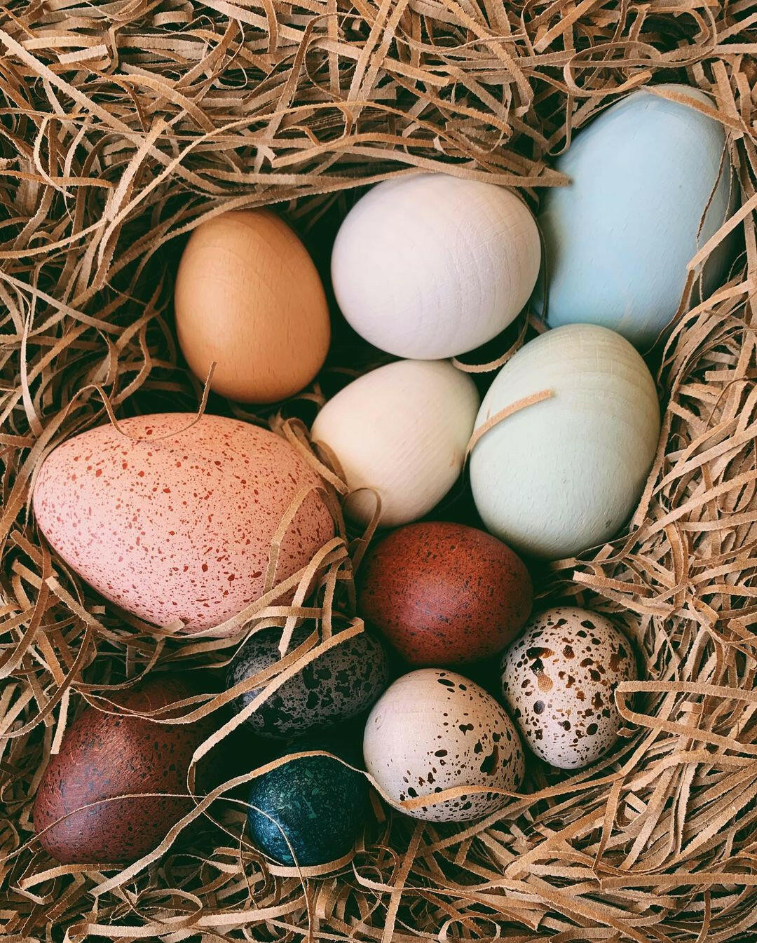 A Dozen Bird Eggs in a Box Educational Toys Moon Picnic