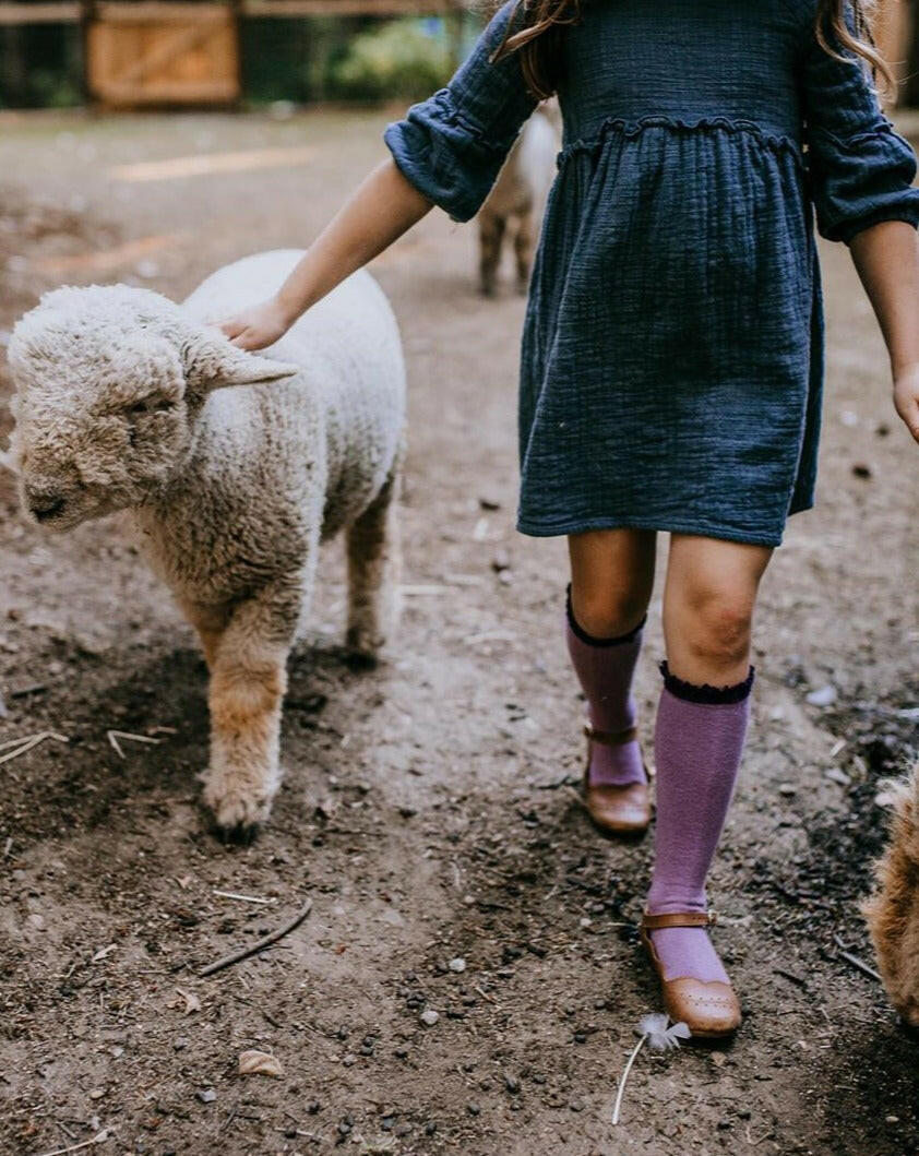 Purple + Plum Lace Top Knee Highs Socks Little Stocking Co