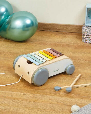 Sweet Cocoon Xylo Roller Musical Toys Janod