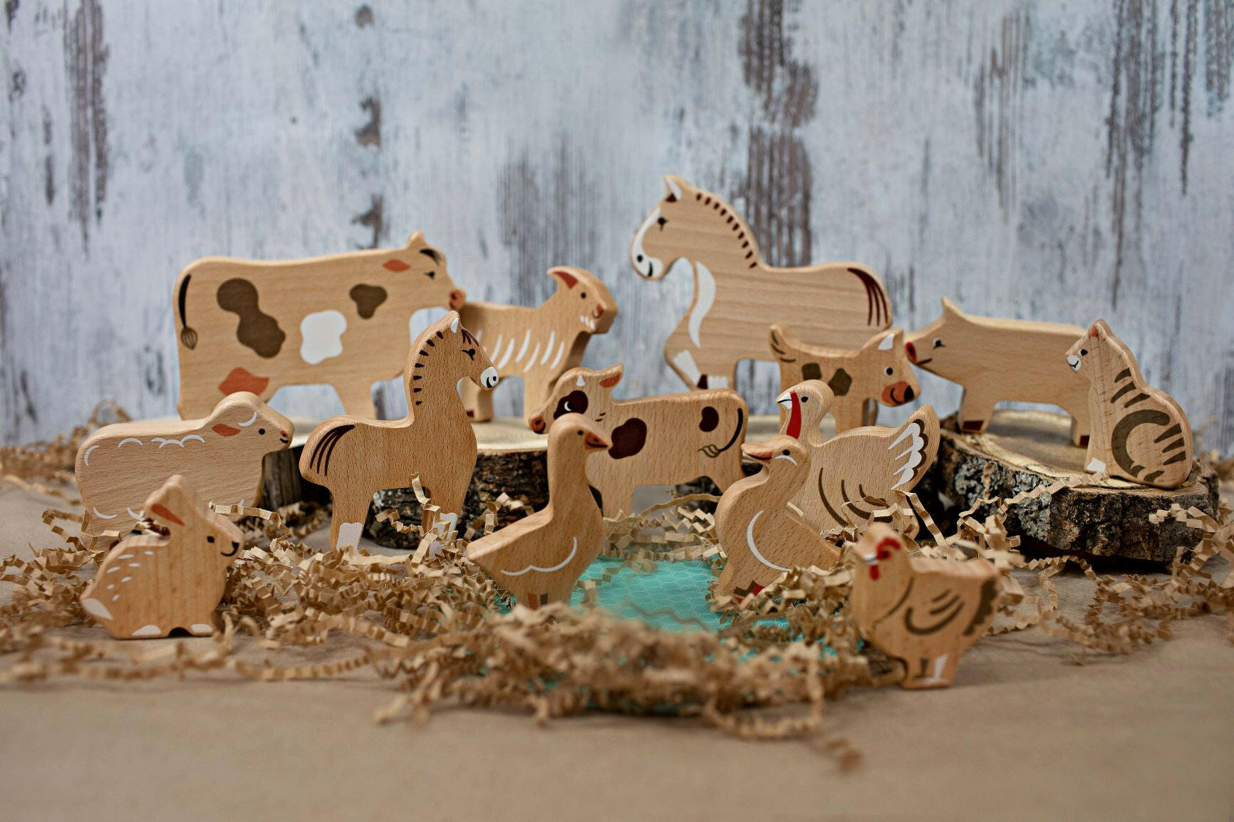 BAJO The Farm Kids Toys Little Poland Gallery