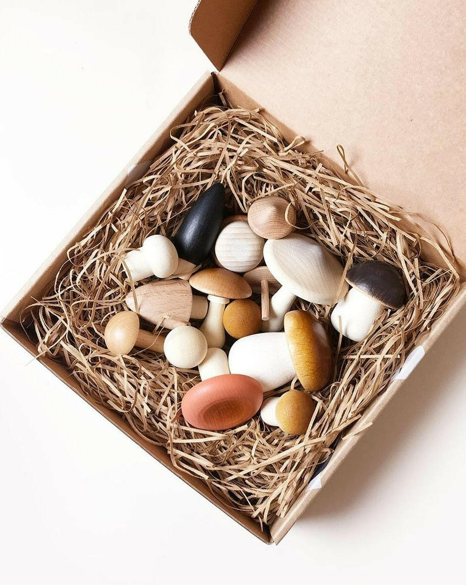 Forest Mushrooms in a Box Educational Toys Moon Picnic