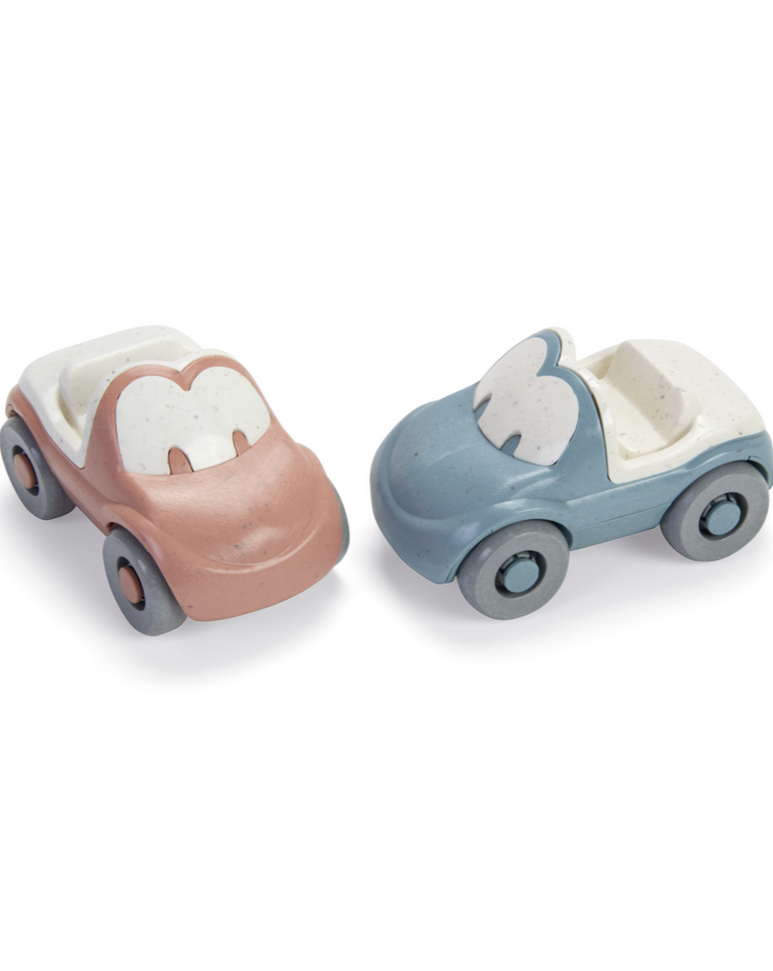 Tiny Fun Cars Cars Dantoy