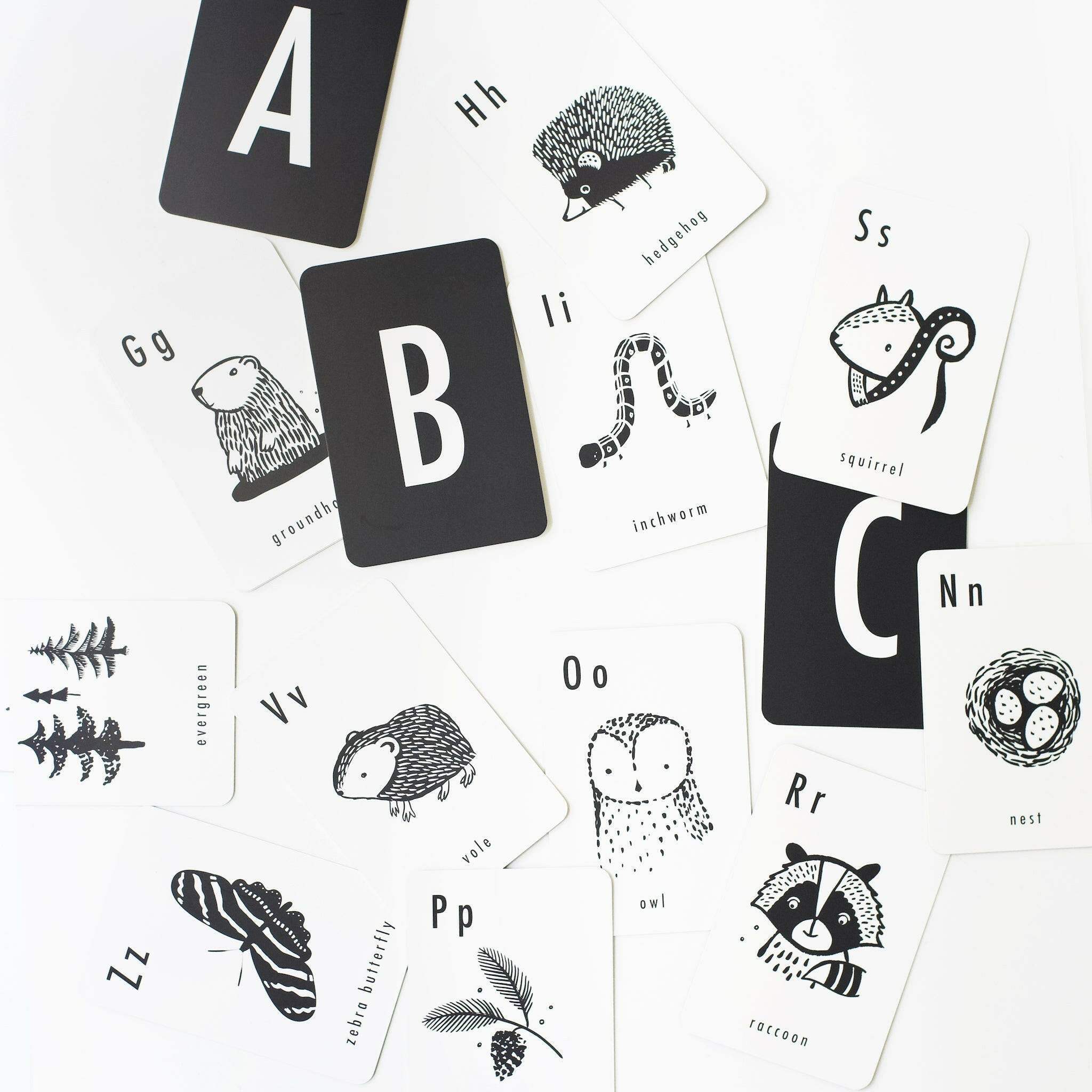 Woodland Alphabet Cards Learning Cards Wee Gallery