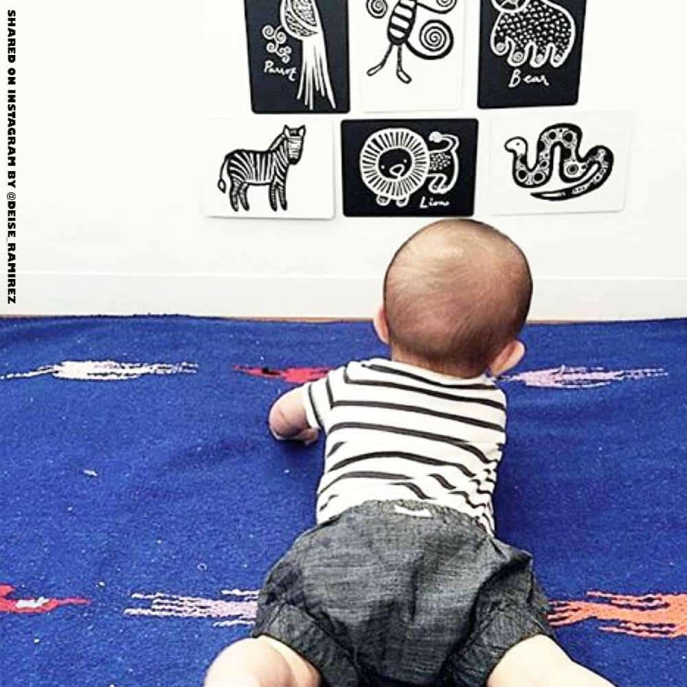 Art Cards for Baby - Woodland Collection Art Cards Wee Gallery