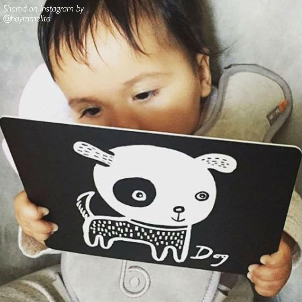 Art Cards for Baby - Black and White Collection Art Cards Wee Gallery