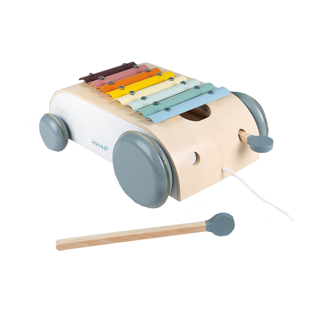 Sweet Cocoon Xylo Roller Musical Toys Janod