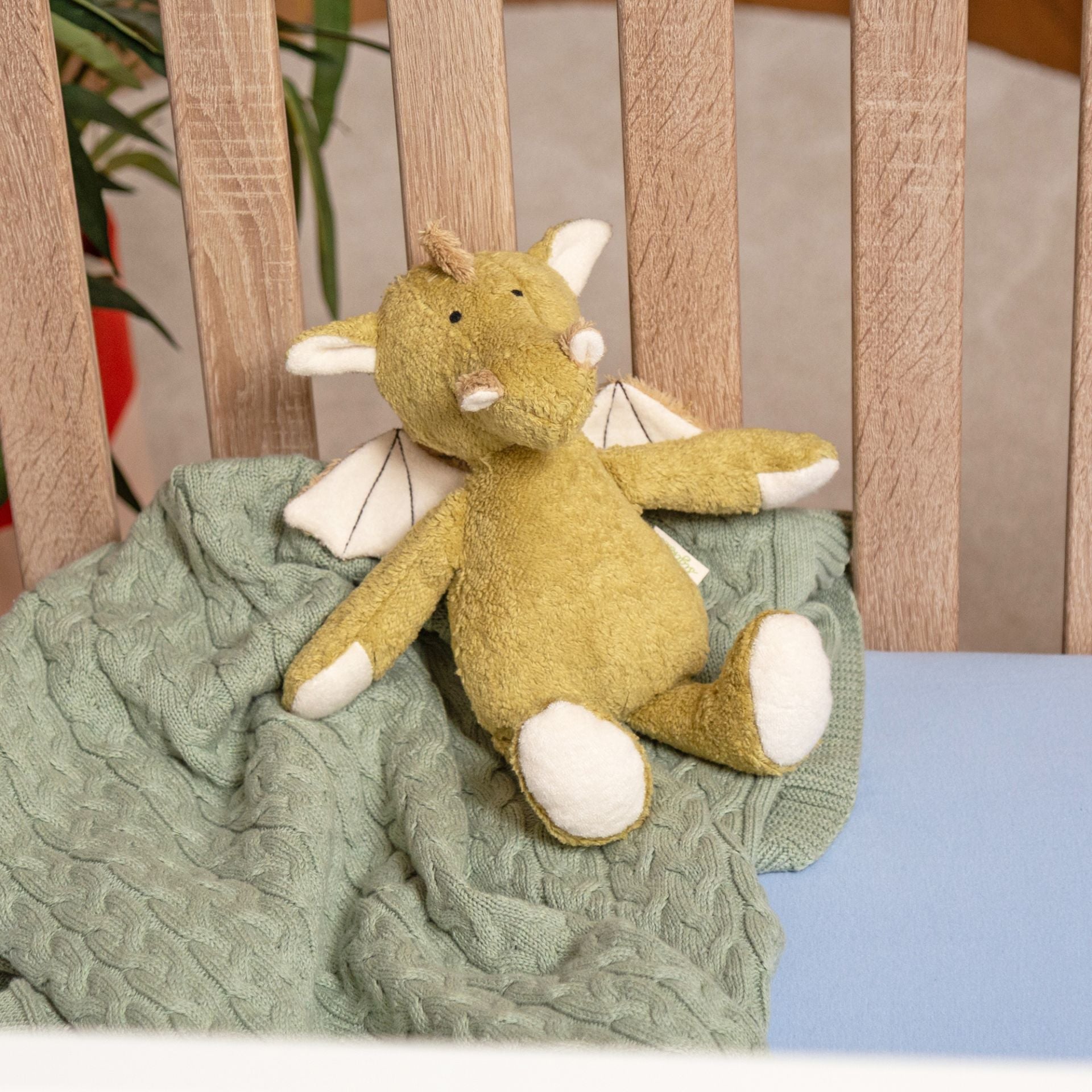 Organic Dragon Plush Toy