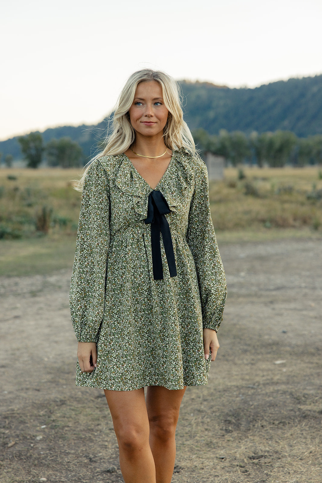 All About It Bow Dress