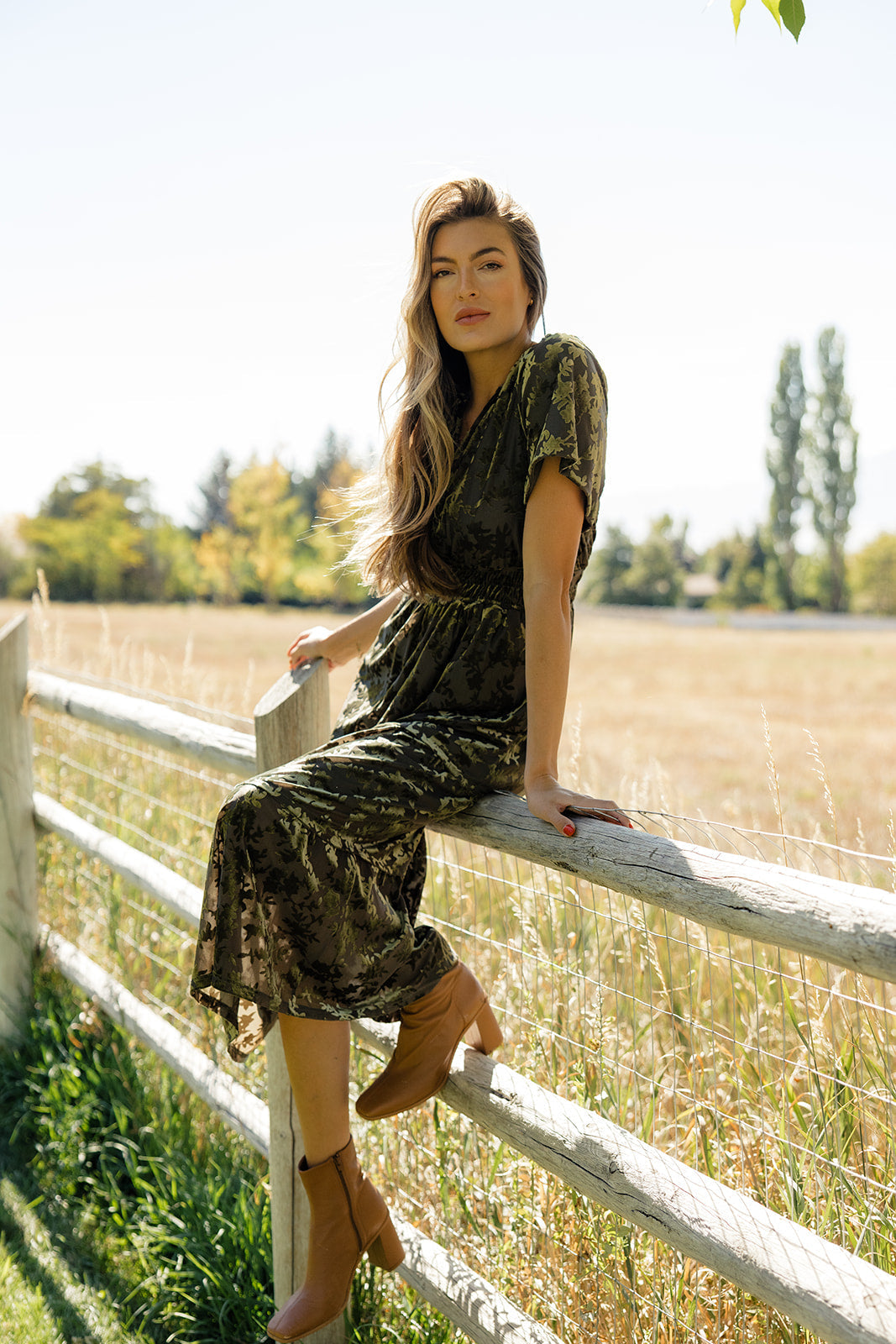 Stained Glass Velvet Dress