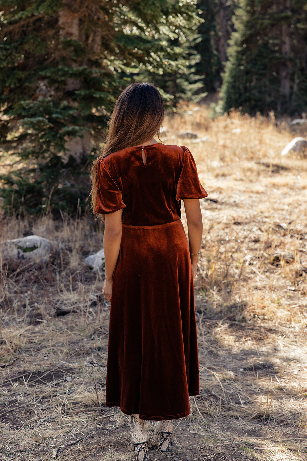 Down By The River Velvet Dress