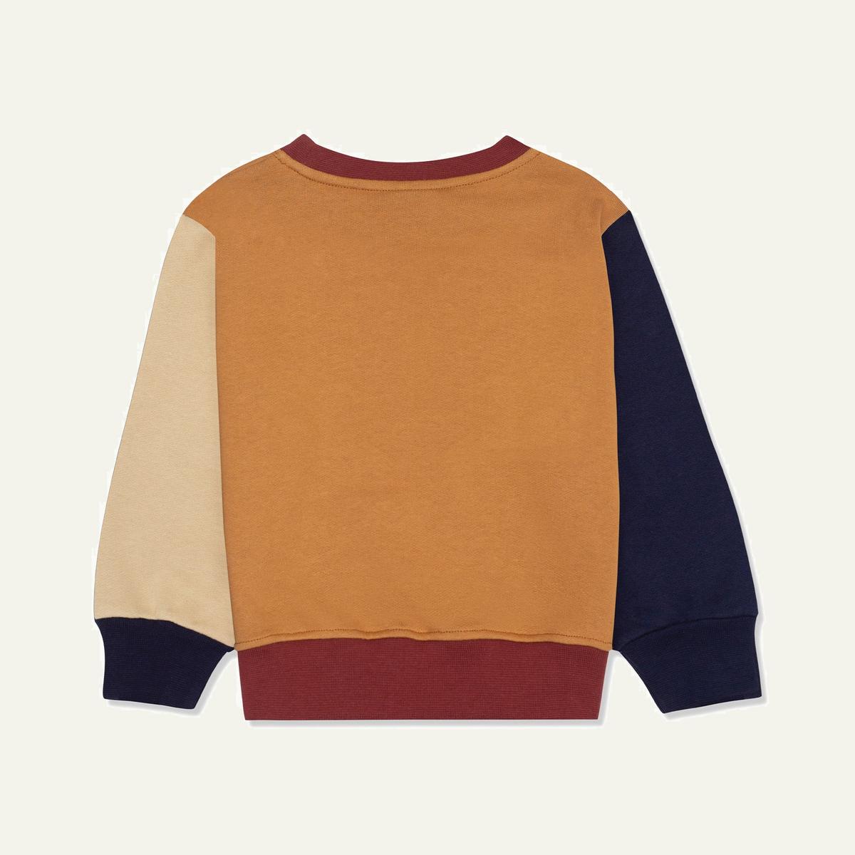 Patches Kid Sweatshirt - Mud/multi