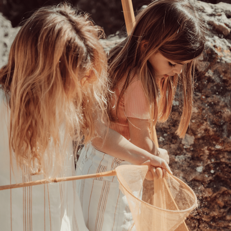 The Printed Short Sleeve Dress - Rose Stripe