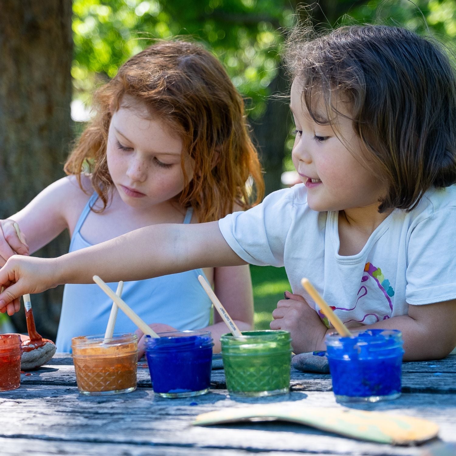 Natural Earth Paint Kit
