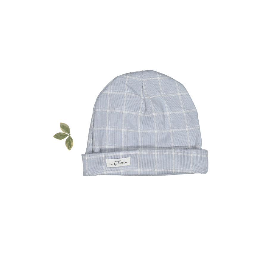 The Printed Hat - Blue Grid