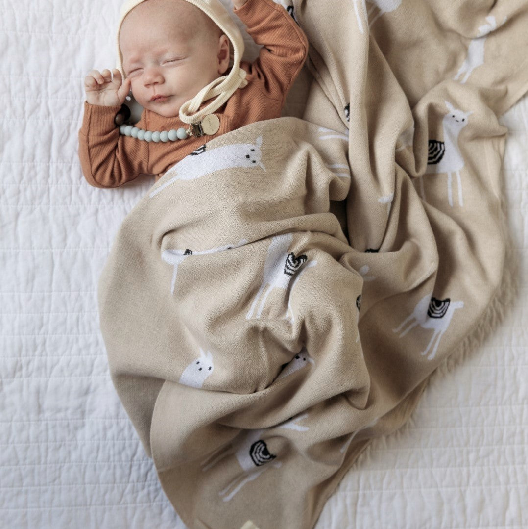 Whimsy Collection - Luxury 100% Cotton Knit Swaddle Baby Blanket