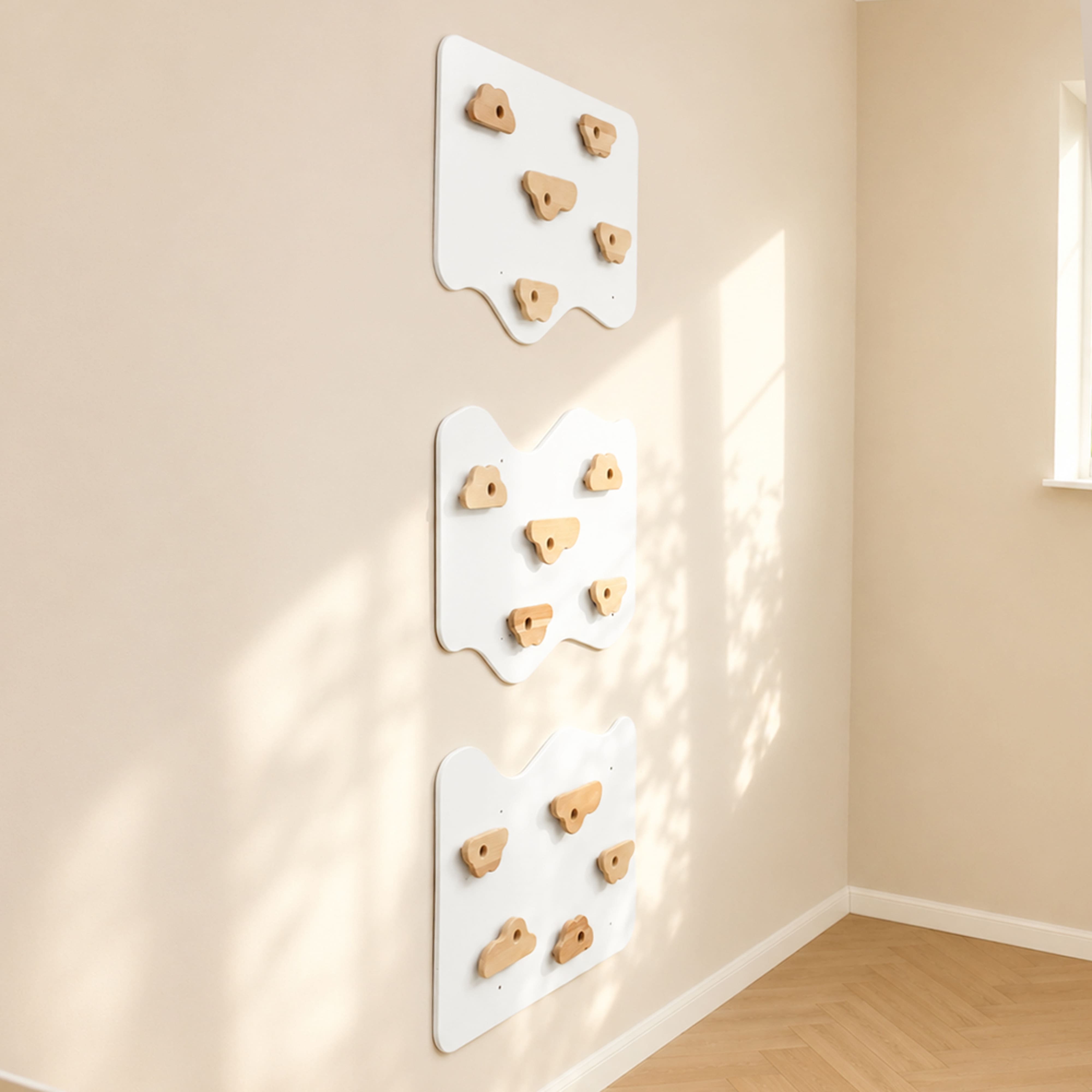 Home Climbing Wall
