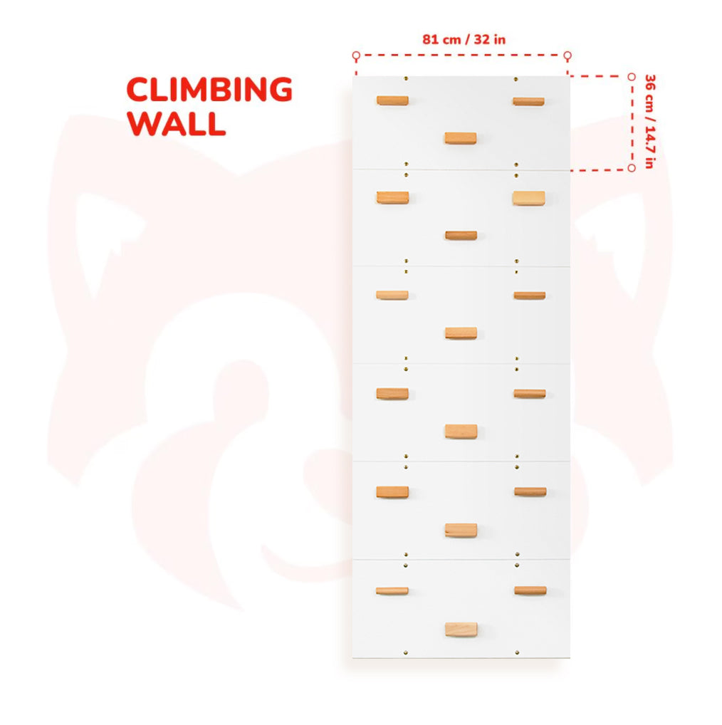 Rock Climbing Wall