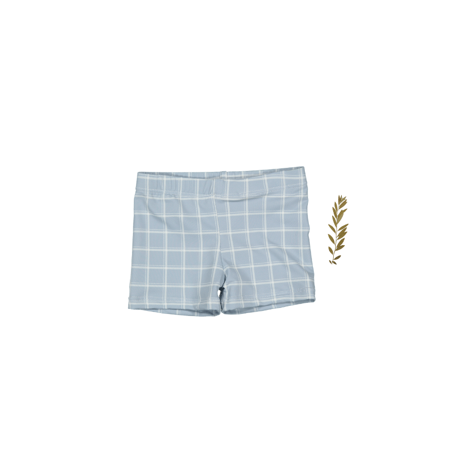 The Printed Swim Short - Blue Grid