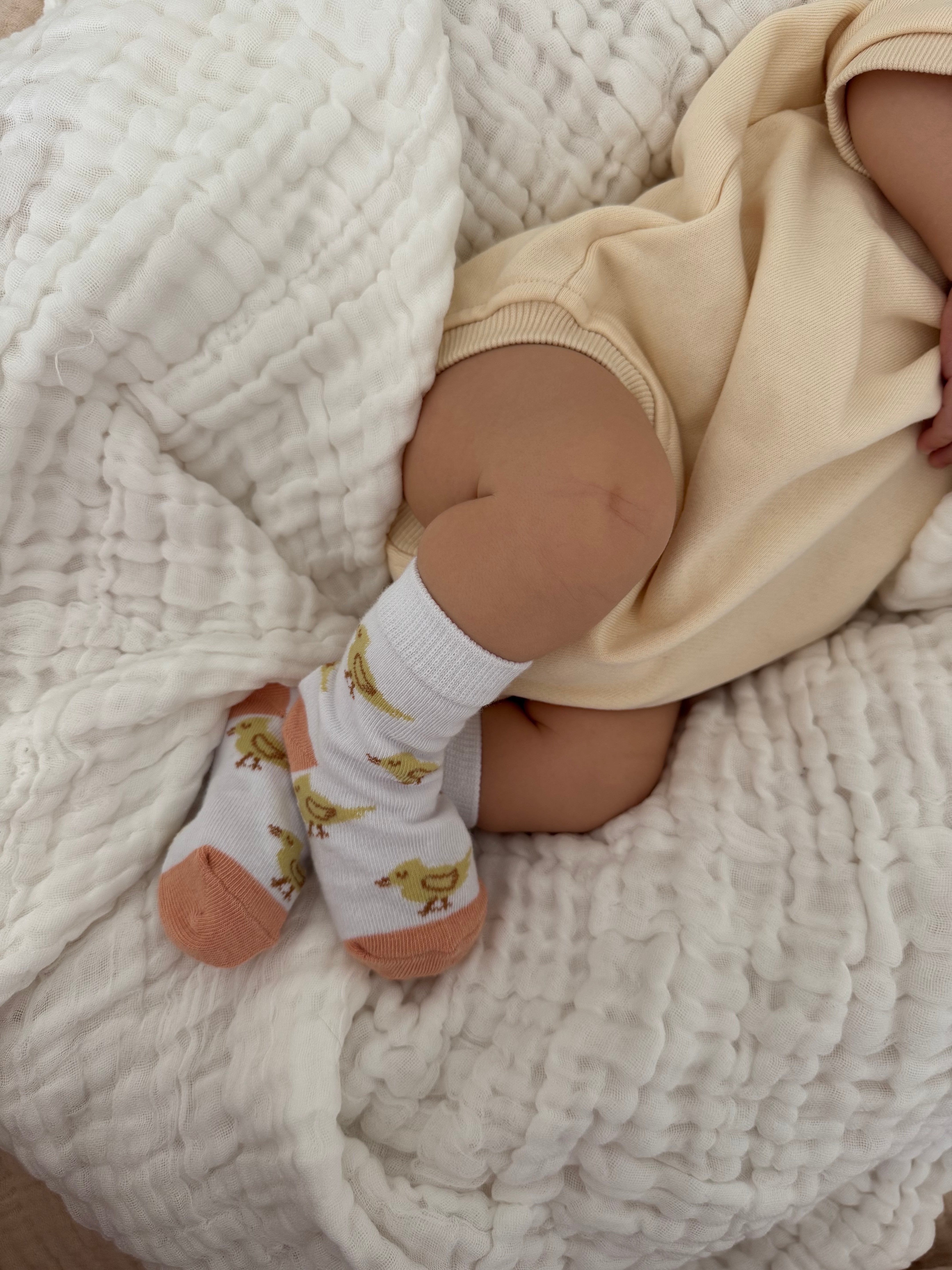 Ducklings Socks