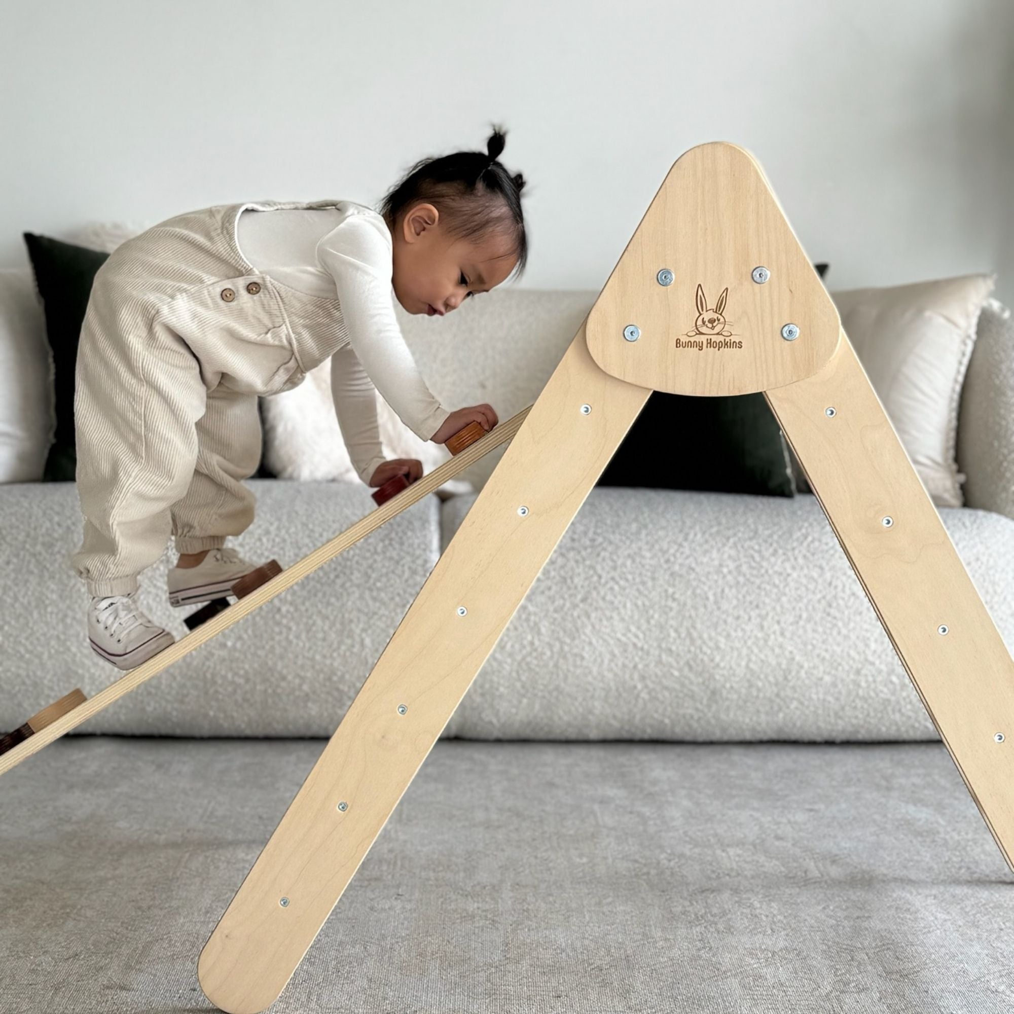 My First Climber Playset