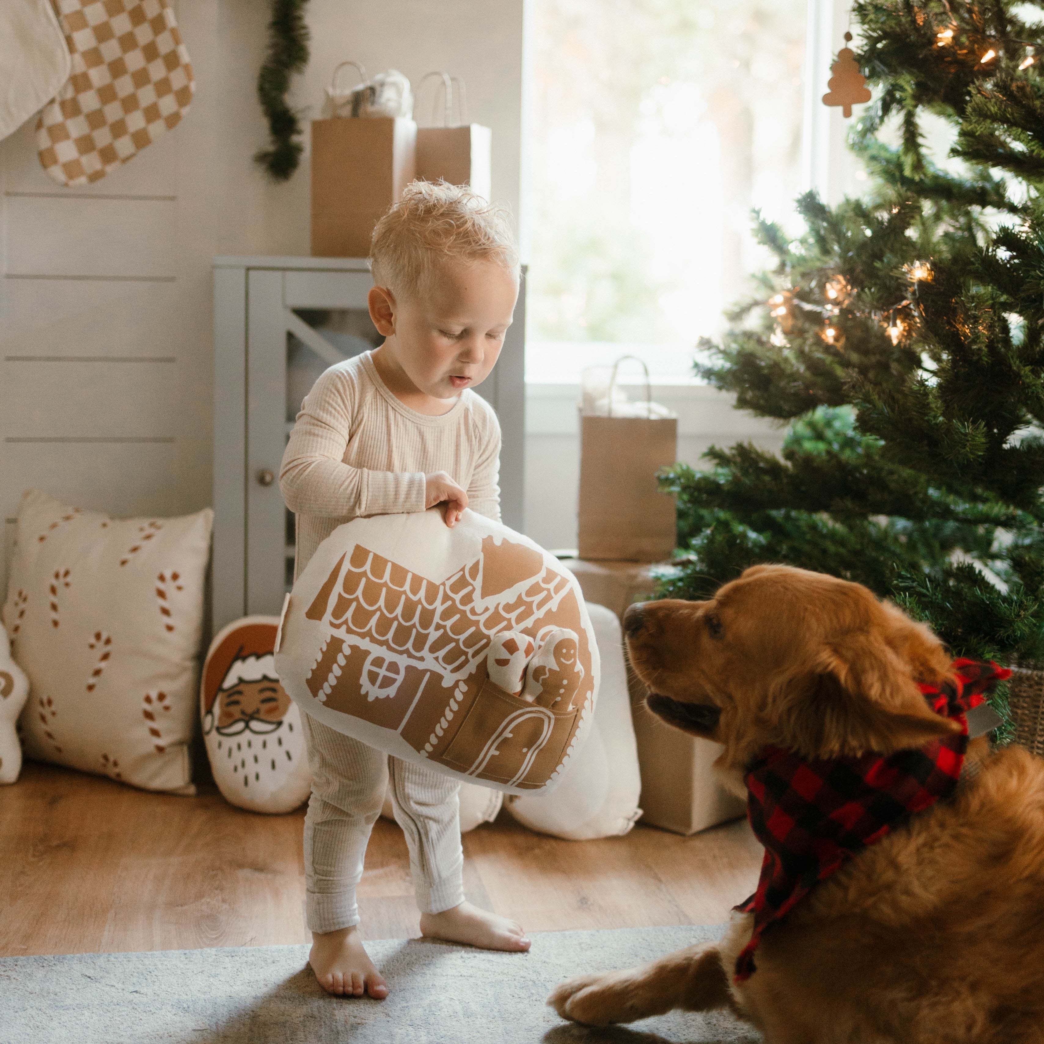 gingerbread house pillow