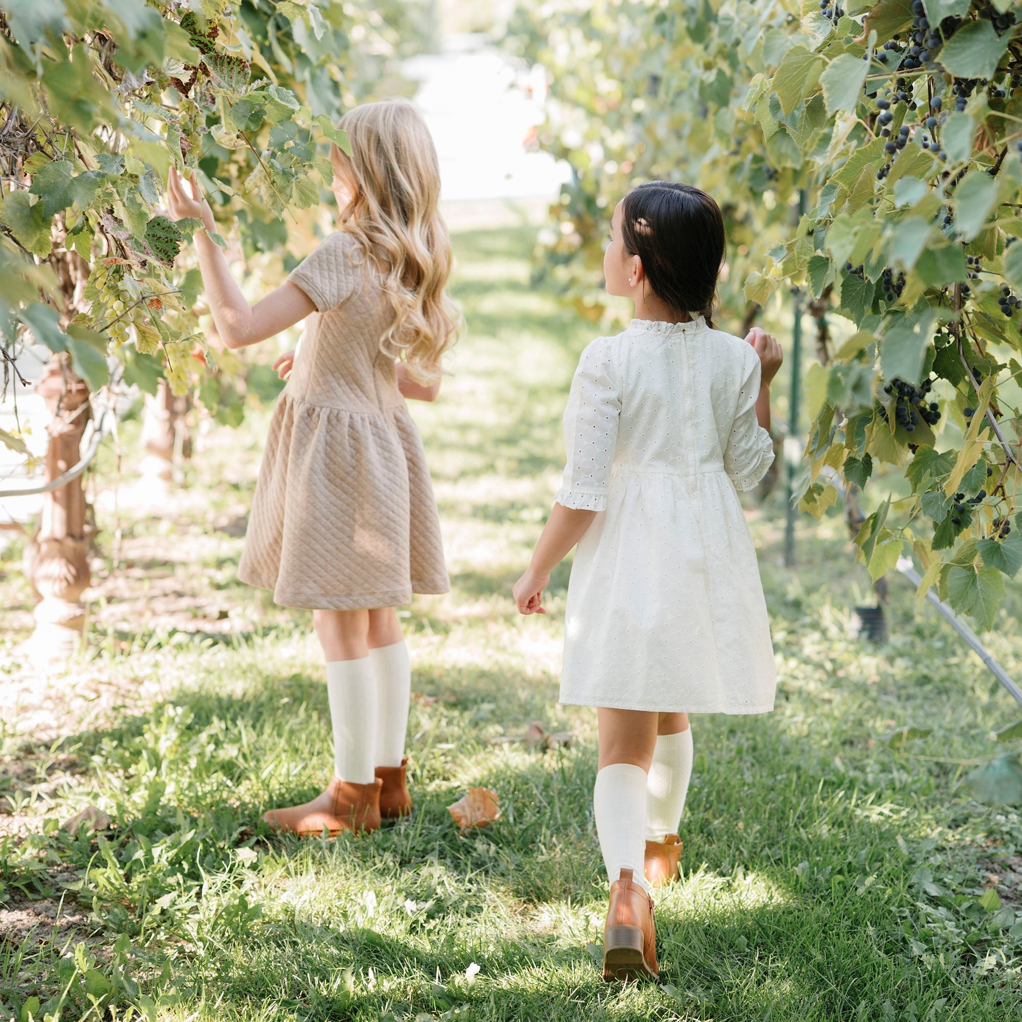 Organic Tiered Eyelet Dress