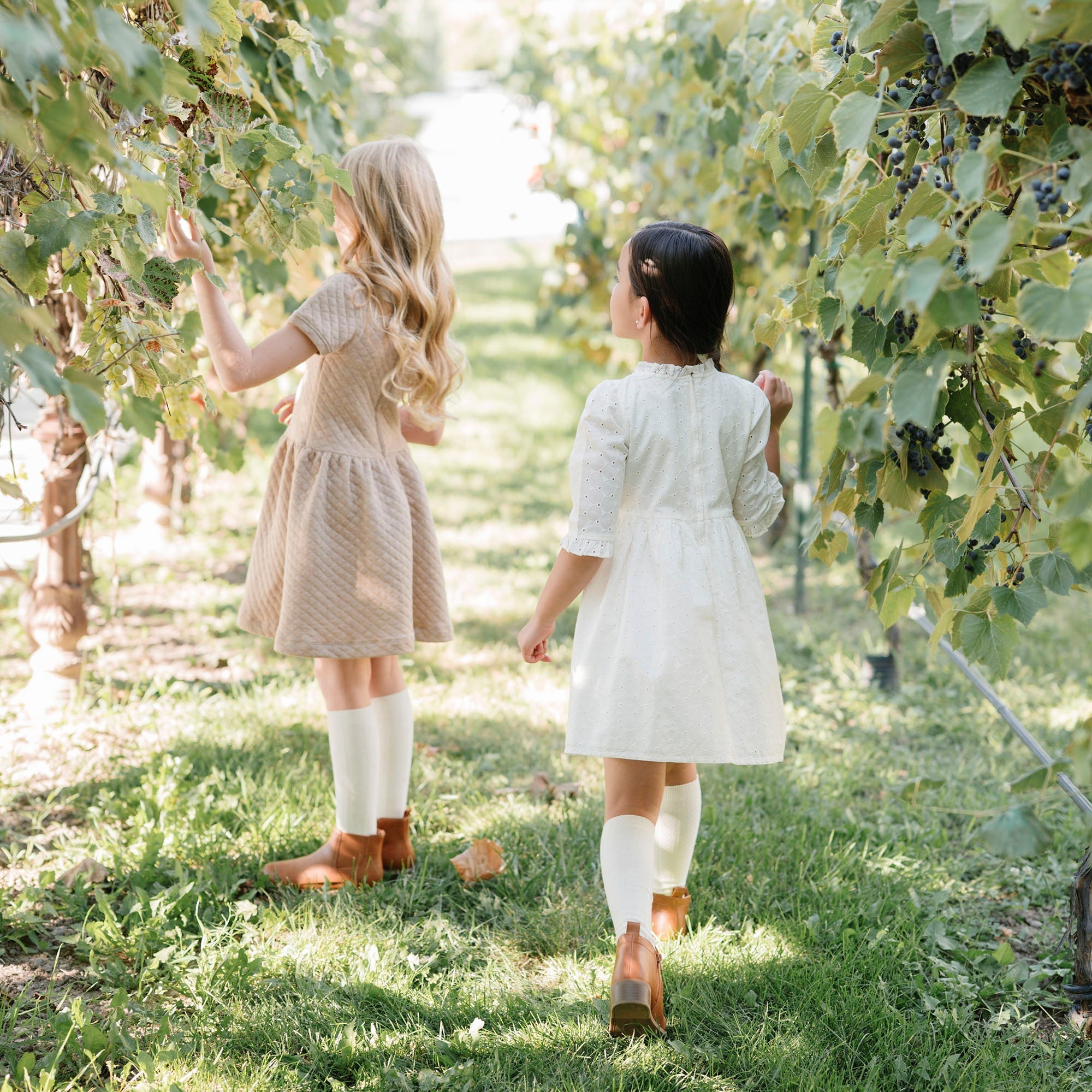 Quilted Dress with Eyelet Collar