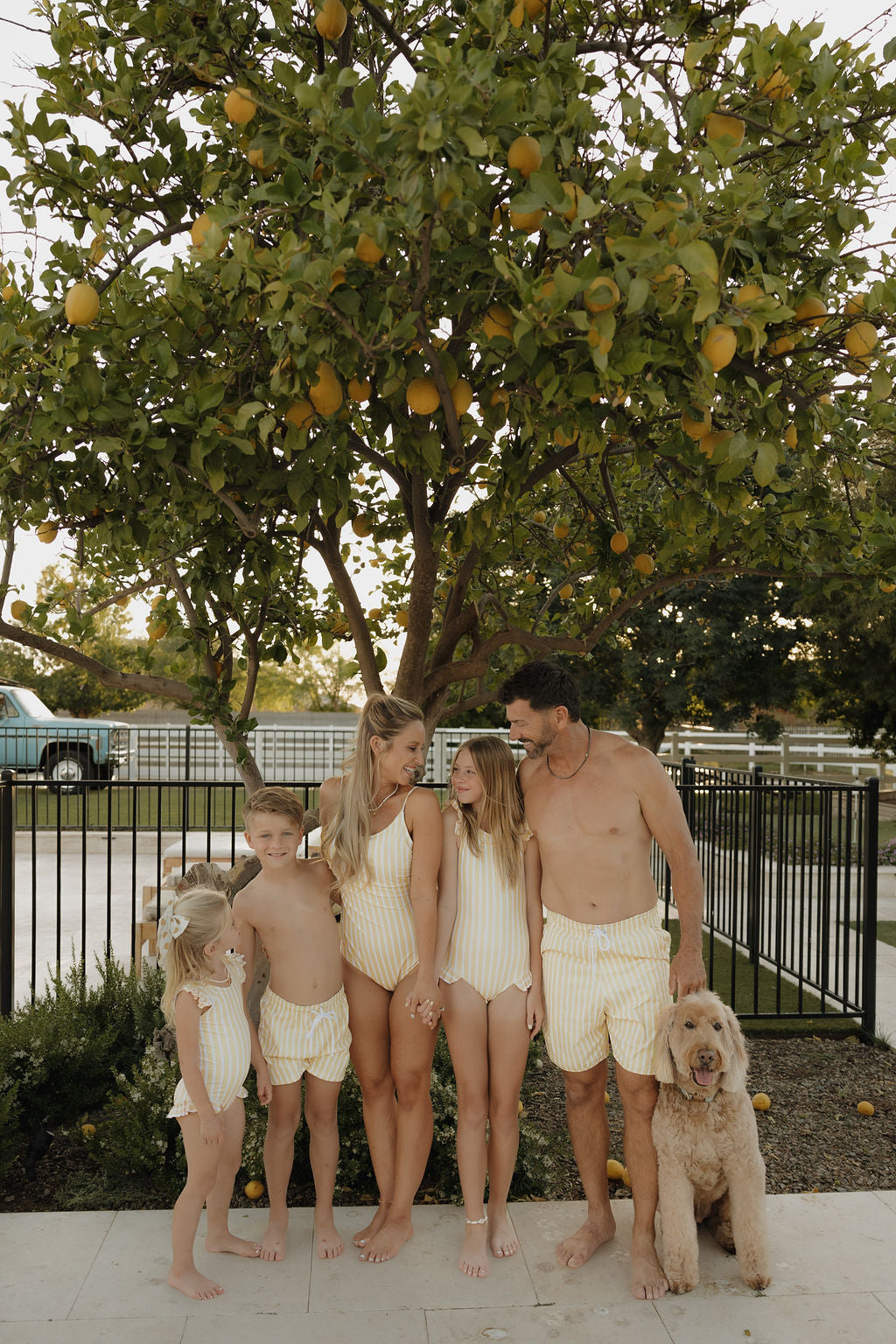 Men Board Short | Sun Rays