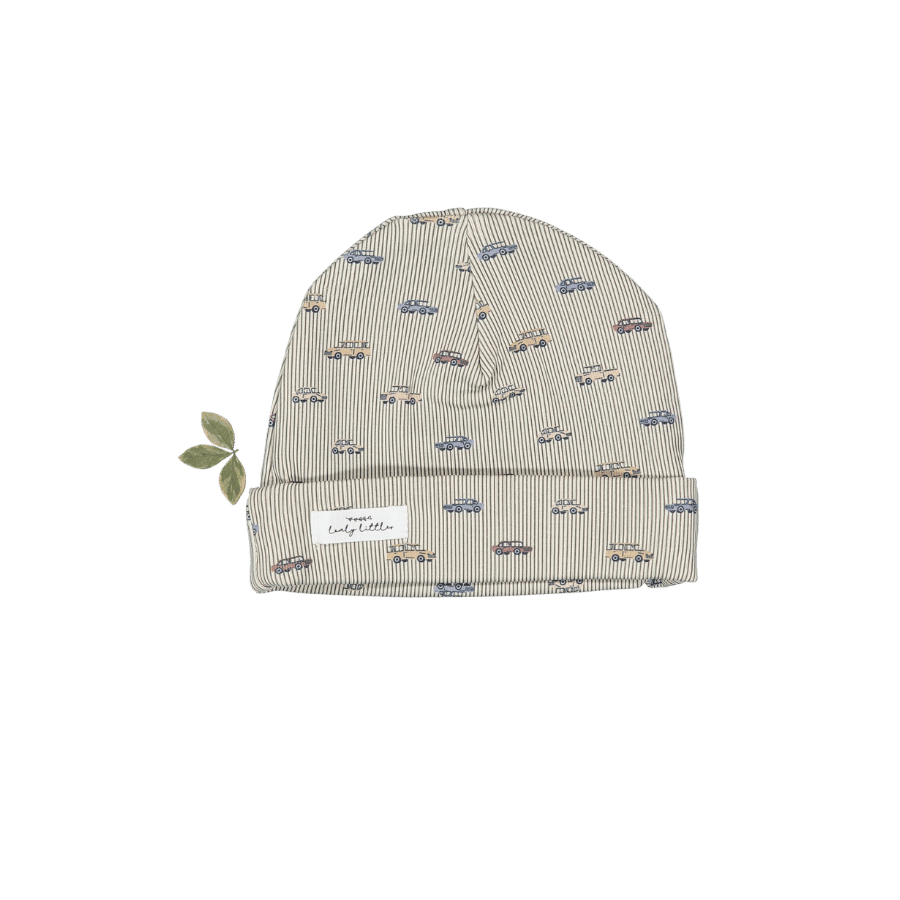 The Printed Hat - Vintage Car
