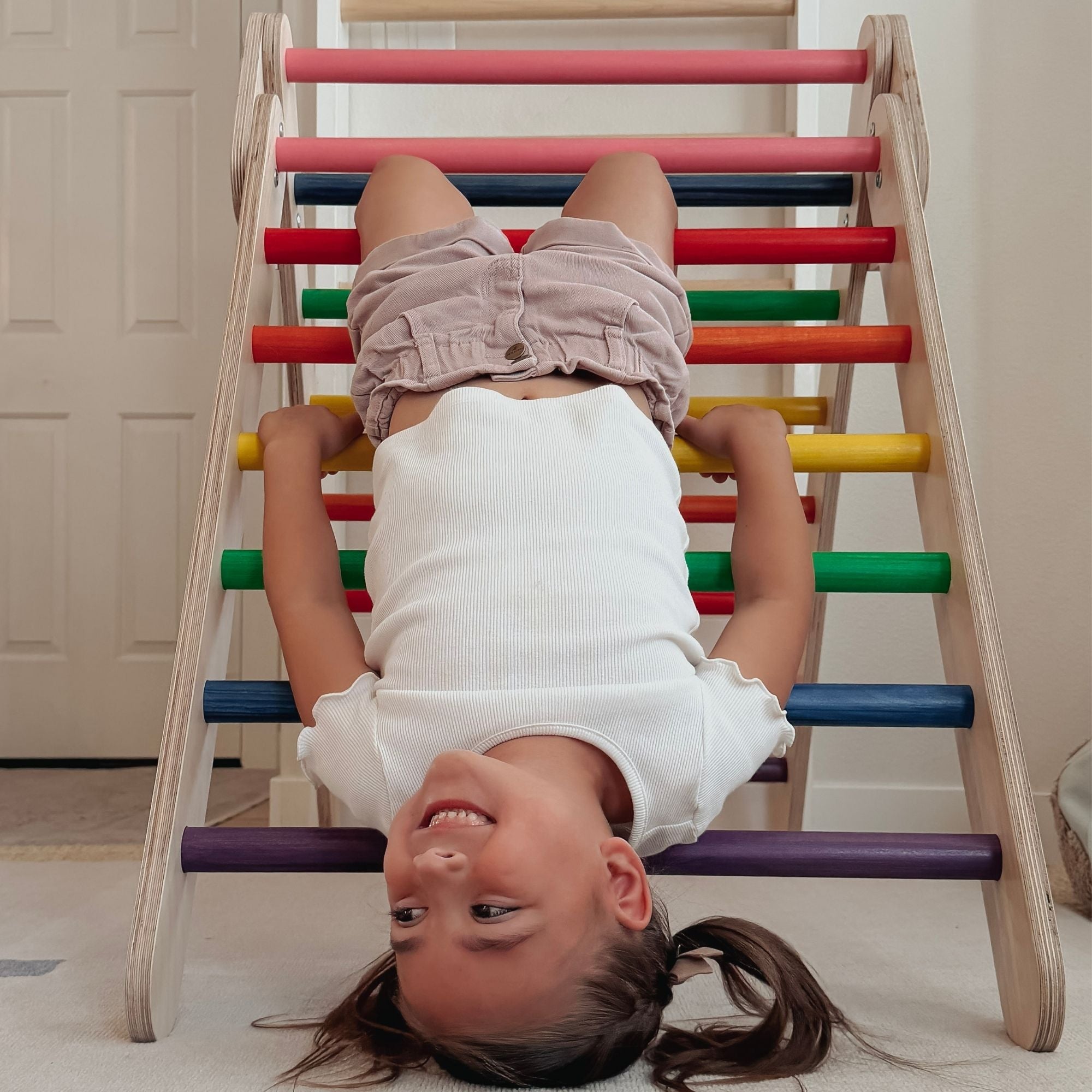 Classic Climber Playset