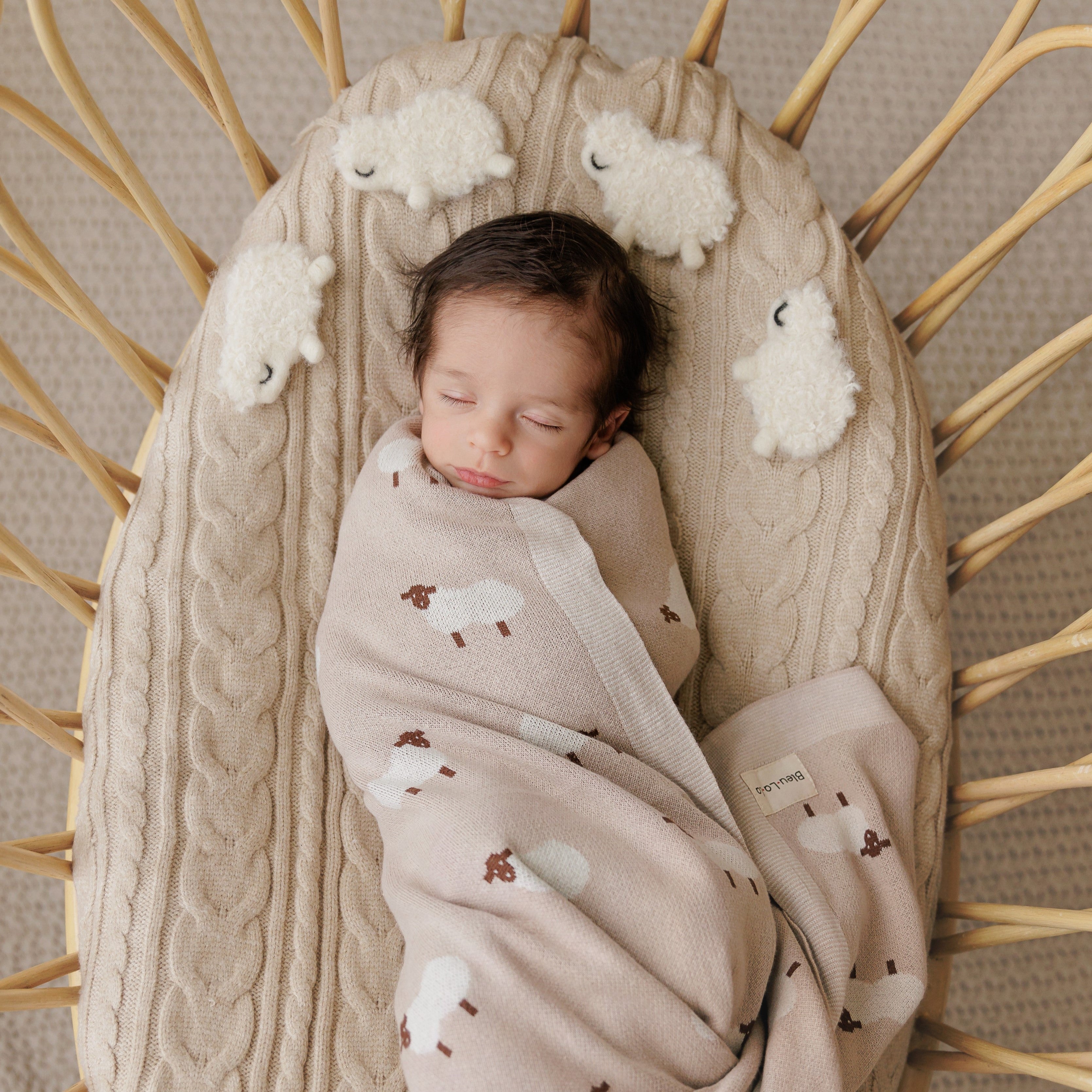 Whimsy Collection - Luxury 100% Cotton Knit Swaddle Baby Blanket
